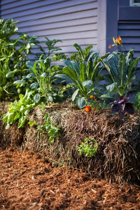 Strawbale Garden, Hay Bale Gardening, Strawbale Gardening, Straw Bale Garden, Urban Balcony, Garden Preparation, Raised Garden Bed Ideas, Garden Bed Ideas, Straw Bale Gardening