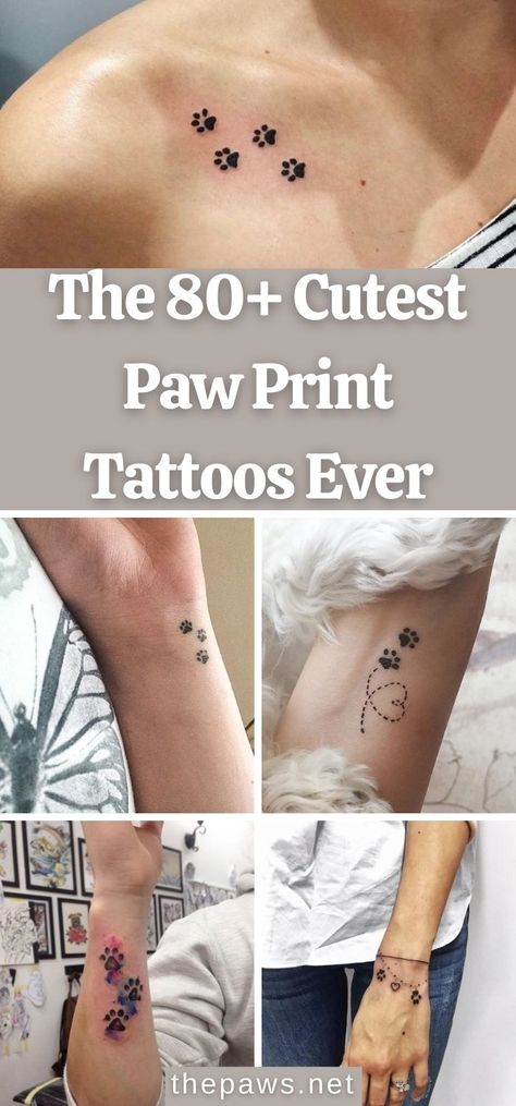 We've collected some of the most beautiful paw print tattoos ever to help you decide which is the best to decorate on your body. Paw Print Ankle Tattoos For Women, 3 Cat Paw Print Tattoo, Cute Dog Paw Tattoos, Doggie Paw Tattoo, Cute Dog Print Tattoo, Cat Paw Print Tattoo On Wrist, Four Paw Print Tattoo, Creative Dog Paw Tattoo, Dog Print Memorial