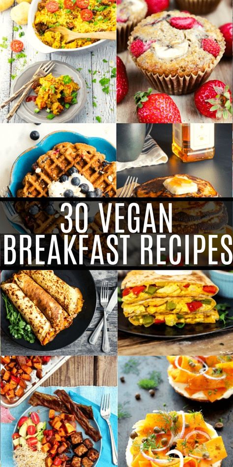 Ideas Desayunos, Vegan Breakfast Recipes Easy, Best Vegan Breakfast, Vegan Brunch Recipes, Plant Based Recipes Breakfast, Vegan Breakfast Easy, Healthy Vegan Breakfast, Vegan Brunch, Vegetarian Breakfast Recipes