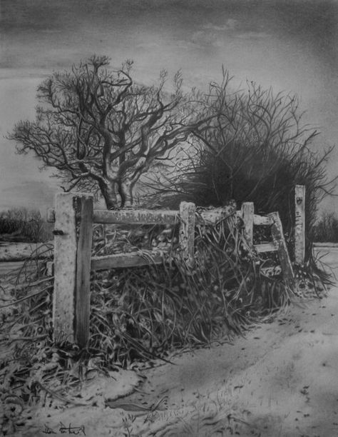 This drawing took About 20 hours. Finally done Winter Morning Pencil Landscape, Landscape Pencil Drawings, Tree Drawings Pencil, Landscape Sketch, Drawing Drawing, Art Simple, Graphite Drawings, Sketch Inspiration, Landscape Drawings