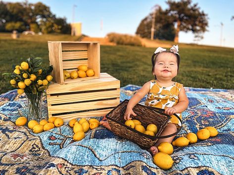 1st birthday Lemon Photo, First Birthday Pictures, Birthday Pictures, Picnic Basket, First Birthdays, Photo Shoot, 1st Birthday, Lemon, Birthday