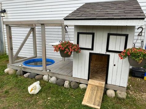 Pet Ducks Outdoor, Duck Pets, Duck Coop Ideas, Duck Habitat, Duck Enclosure, Duck House Plans, Duck Pens, Backyard Ducks, Chicken Coop Garden