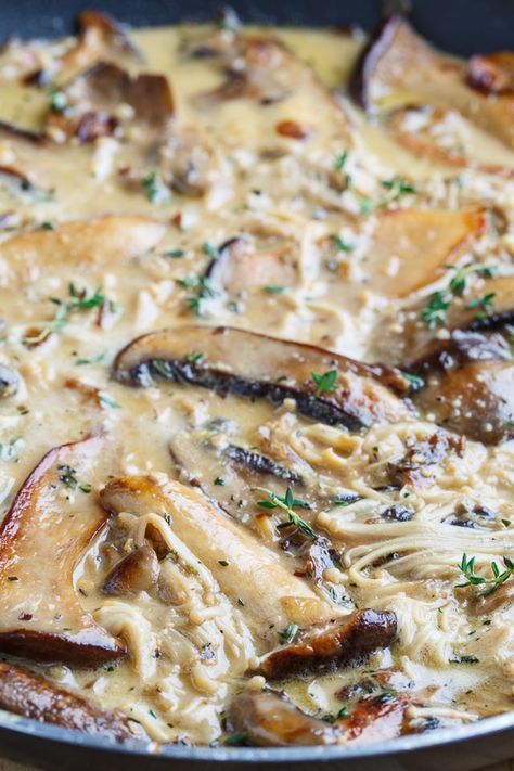 Creamy Brie Mushroom Sauce Mushroom Alfredo Sauce Recipe, Mushroom Alfredo Sauce, Creamy Brie, Mushroom Alfredo, Chicken And Mushrooms, Mushroom Sauce Recipe, Closet Cooking, Mushroom Dish, Creamy Mushroom Sauce