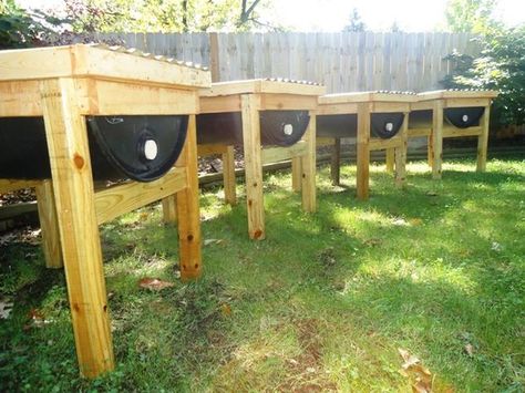 Picture of These hives will last a lifetime and my kids will be harvesting honey from them once they're adults... Top Bar Bee Hive, Bee Hives Diy, Harvesting Honey, Top Bar Hive, Raising Bees, Bee Supplies, Backyard Beekeeping, Honey Bee Hives, Bee Hives