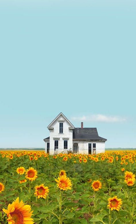 Friday Favorites - Living Vintage Country Fields, Country Scenery, Farm Houses, Sunflower Field, Old Farm Houses, Farms Living, Sunflower Fields, Old Farmhouse, Old Barns