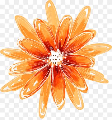 Orange Flowers Drawing, Orange Flowers Painting, Orange Oil Painting, Oil Painting Orange, Flower Painting Watercolor, Flower Png Images, Painting Orange, Fleur Orange, Orange Painting