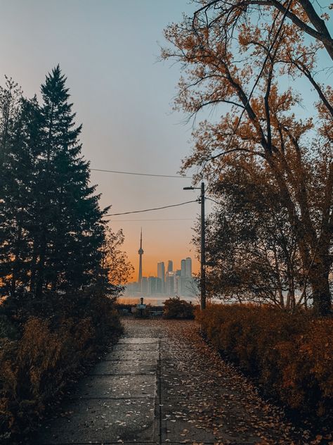 Big City Fall Aesthetic, Autumn In Canada Aesthetic, Toronto Fall Aesthetic, Autumn In Toronto, Life In Toronto, Canada Fall Aesthetic, Canada Aesthetic Toronto, Toronto Aesthetic Summer, Toronto Life Aesthetic