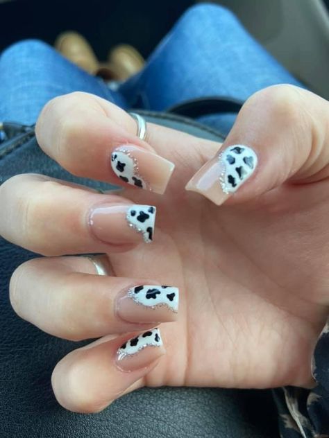 Cow And Leopard Print Nails, Nashville Nails French, Farm Acrylic Nails, Cute Cow Nails Short, Short Acrylic Nails Square Western, Nails Acrylic Country, French Tip Cow Nails, Short Acrylic Nails Designs Cow Print, Short Square Cow Print Nails