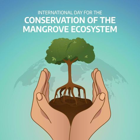 Ecosystem Design, Mangrove Ecosystem, Sumber Daya Alam, Illustration Flat, Tree Saw, Heart Tree, Cityscape Photos, Logo Banners, International Day