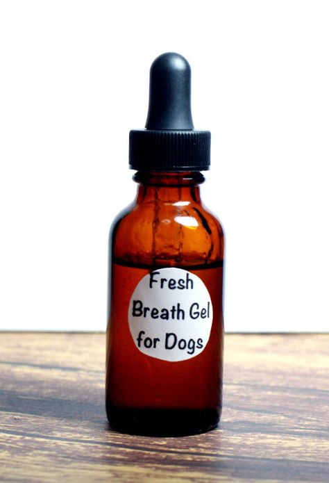 DIY Natural Fresh Breath Gel for Dogs Bad Dog Breath, Essential Oils Dogs, Dog Remedies, Dog Breath, Oils For Dogs, Dog Info, Dog Teeth, Animal Projects, Pet Hacks