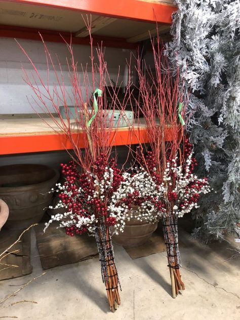 Red Twig Dogwood Christmas Decor, Winter Planter Ideas, Dogwood Shrub, Winter Pots, Winter Containers, Porch Pots, Winter Planters, Outdoor Christmas Planters, Stick Decor