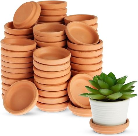 Amazon.com : 80 Pack 2 Inch Terracotta Saucers for Plant Pots, Plates for Indoor and Outdoor Planter : Patio, Lawn & Garden Terra Cotta Plant, Plant Saucers, Plant Saucer, Water Control, Indoor Flower Pots, Plant Tray, Terracotta Plant Pots, Drainage System, Outdoor Planter