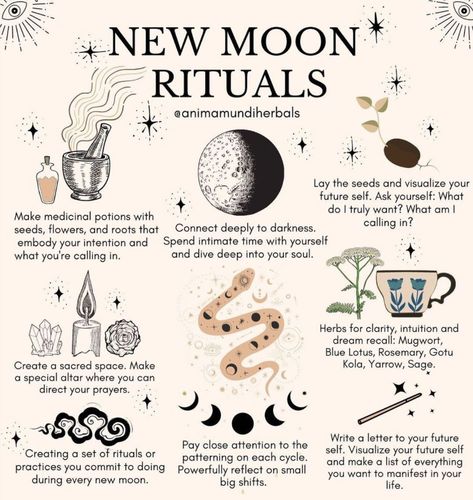 9 Things You Should (and Should Not!) Do During a New 🌑 Moon Witch Marks, Shadow Journal, Types Of Witches, Spiritual Understanding, Witchy Journal, Supraviețuire Camping, Witch Spells, Witch Tools, Moon Magick