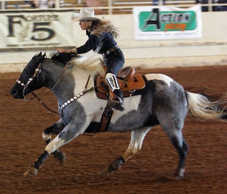 Blue Roan Paint! I want a horse like this! So pretty!! Barrel Horses, American Paint Horse, Pinto Horse, Barrel Racing Horses, Rodeo Horses, Paint Horse, American Paint, Blue Roan, Cowgirl And Horse