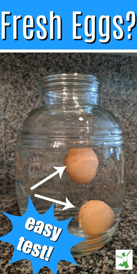 If you don't know this simple egg test, you have to read this post.  It will be something you use often, especially if you use fresh eggs or just to make sure the eggs you bought are still good.  Snag this post to learn a fun and easy egg test.  #eggs #fresh #test #simple #easy Egg Freshness Test, Are My Eggs Still Good, How To Tell If Eggs Are Fresh, How To Know If An Egg Is Still Good, How To Check If Eggs Are Good, How To Test Eggs To See If They Are Good, Eggs Fresh Or Not, How To Know If Eggs Are Still Good, How To Tell If Eggs Are Good