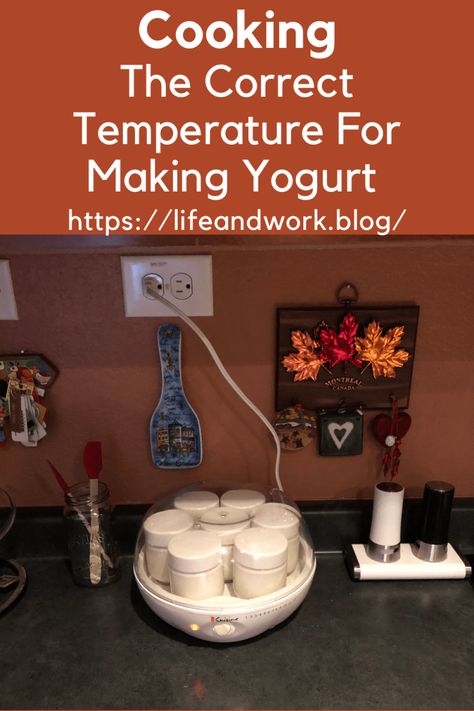 The Correct Temperature For Making Yogurt Make Your Own Yogurt, Paleolithic Diet, Making Yogurt, Healthy Yogurt, Yogurt Maker, Cheese Making, Cooking Homemade, Homemade Yogurt, Milk Protein