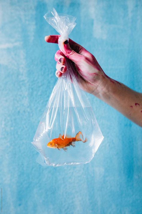 Fish Artwork, Hand Photography, Golden Fish, Fish Drawings, Fish In A Bag, Basque Country, Fish Painting, Hand Holding, Fish Bowl