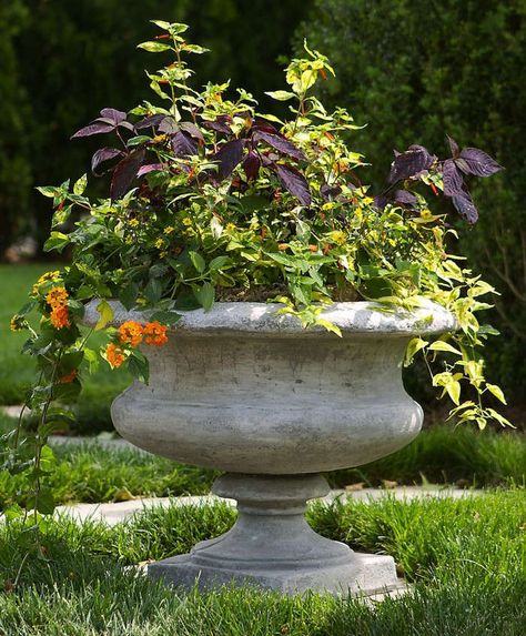 Outdoor Urns, Cement Garden, Rustic Planters, Garden Urns, Urn Planters, Stone Planters, Outdoor Gardens Design, Garden Pictures, Concrete Planters