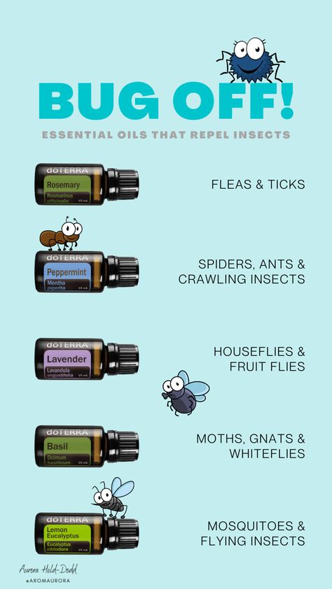 Essential Oil Bug Spray For Dogs, Essential Oil Bug Repellent, Essential Oil Bug Spray, Essential Oil Spray Recipes, Mosquito Repellent Homemade, Bug Repellant, Essential Oil Roller Bottle Recipes, Summer Tips, Essential Oil Combinations