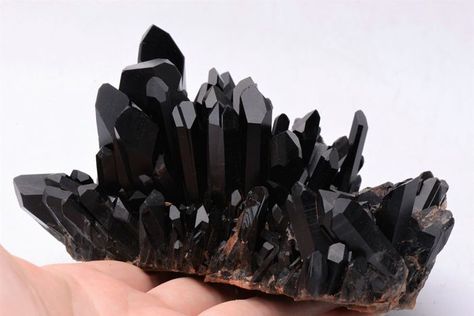 What makes Quartz Black? A very dark brown to black opaque variety is known as morion. Morion is the German, Danish, Spanish and Polish synonym for smoky Gem Hunt, Pliny The Elder, Scottish Jewellery, Black Quartz, Smoky Quartz Crystal, Minerals And Gemstones, Rocks And Gems, Quartz Cluster, Crystal Collection