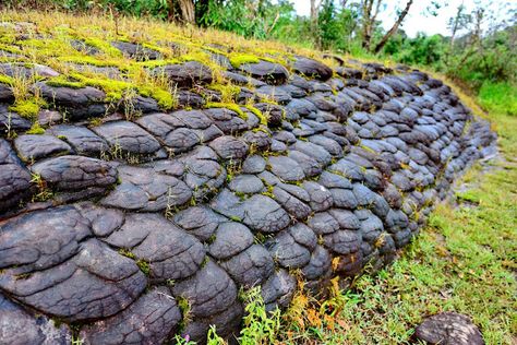 Pillow Lava Earth's Mantle, Marine Organism, 29 November, Crystalline Structure, Volcanic Rock, Lava Rock, Rock Formations, Surface Textures, The Grass