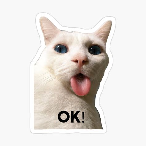 Get my art printed on awesome products. Support me at Redbubble #RBandME: https://www.redbubble.com/i/sticker/Funny-cat-meme-Ok-by-Elsdesign00/49814506.EJUG5?asc=u Funny Stickers For Whatsapp, Awkward Meme, Relatable Stickers, Ok Meme, Funny Cat Stickers, Stickers Mood, Ok Sticker, Mood Stickers, Mood Sticker