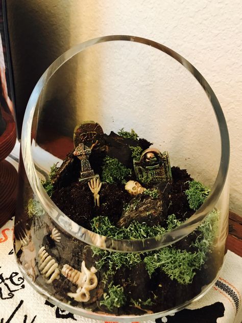 Graveyard terrarium with bones and headstones. Diy Cemeterium, Skeleton Fairy Terrarium, Goth Terrarium Ideas, Mini Cemetery Terrarium, Halloween Terrarium Ideas, Terrarium Graveyard, Goth Terrarium, Gothic Terrarium, Cemetery Terrarium