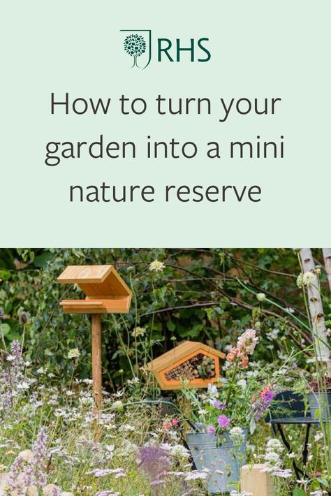 Discover five top tips for how you can create a home for wildlife in your garden, no matter its size 🐝🌳🌸 Garden Wildlife Ideas, Small Wildlife Garden Ideas, Attract Wildlife To Garden, Wildlife Friendly Garden Ideas, Wildlife Habitat Garden, Wildlife Friendly Backyard, Wildlife Garden Ideas Uk, Eco Garden Ideas, Wildlife Friendly Garden