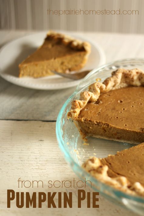 This is the best pumpkin pie recipe I've made-- the texture and flavor is perfect-- and it's made with honey too! The Prairie Homestead, Best Pumpkin Pie Recipe, Prairie Homestead, Best Pumpkin Pie, Holiday Dishes, Homemade Pumpkin Pie, Vegan Holiday, Pumpkin Pie Recipe, Holiday Meals