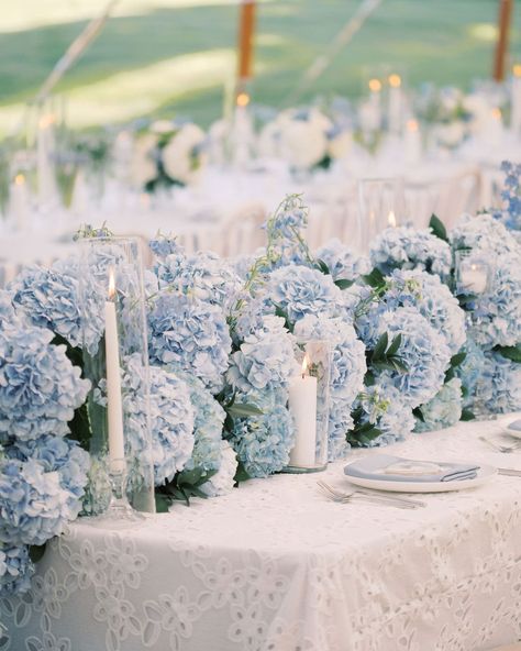 Hydrangea Centerpiece Wedding, Blue Hydrangea Wedding, Baby Blue Weddings, Blue White Weddings, Hydrangea Wedding, Light Blue Wedding, Hydrangeas Wedding, Blue Themed Wedding, Cleveland Wedding