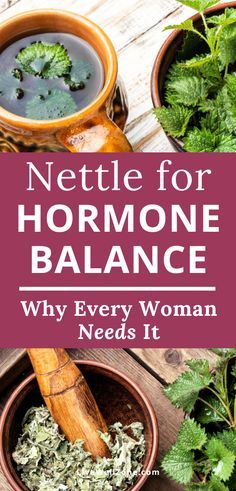 Benefits Of Nettle, Hormonal Imbalance Symptoms, Hormone Imbalance Remedies, Hormone Balancing Tea, Hormone Balancing Diet, Nettle Leaf, Stinging Nettle, Hormonal Imbalance, Herbal Recipes