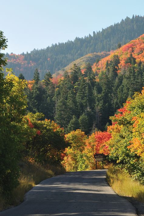 Travel Utah, Utah Mountains, Scenic Pictures, Autumn Lake, Utah Travel, Utah Usa, Utah Photography, Park City Utah, Autumn Scenery