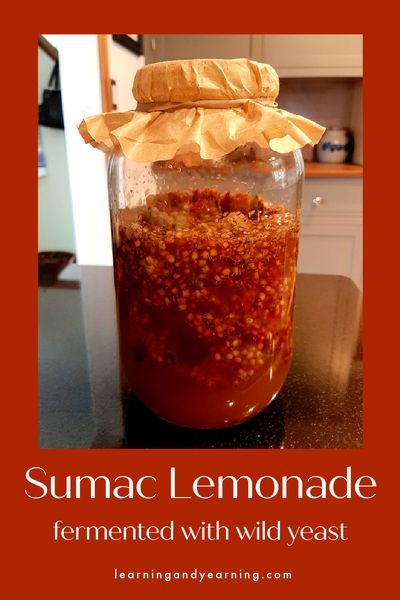 Indian Lemonade, Staghorn Sumac, Preparedness Ideas, Foraging Recipes, Foraged Food, Wild Yeast, Fermented Drink, Homemade Drinks, Food Favorites