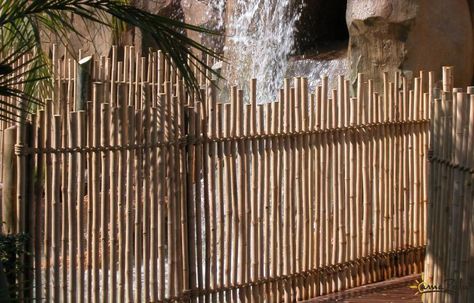 A rustic #bamboo fence could be just that thing you're missing in your backyard. Rustic Bamboo Fencing is an eco-friendly, cost efficient alternative to less sustainable fencing. And as the fastest growing renewable resource, using bamboo gives you peace of mind knowing that you are contributing to sustainable living practices. Learn more at http://www.amazuluinc.com/products/fencing/rustic-bamboo-fencing Bamboo Boundary Wall, Bamboo Gate, Bamboo Garden Fences, Bell Tent Camping, Bamboo Fencing, Diy Bamboo, Bamboo Privacy, Japanese Style Garden, Garden Fences