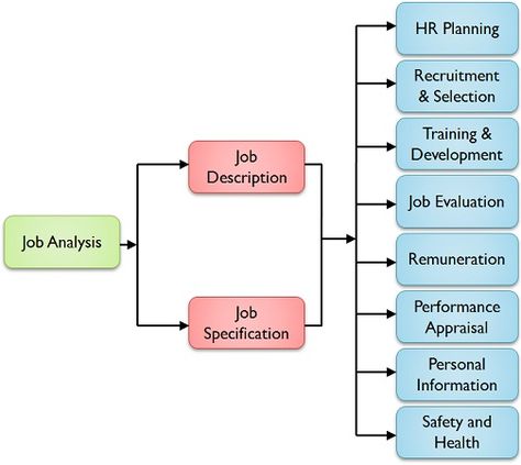 Difference Between Job Analysis and Job Description (with Comparison Chart) - Key Differences Employee Retention Strategies, Human Resources Quotes, Job Analysis, Process Chart, Organization Development, Performance Appraisal, Human Resource Development, Employee Retention, Curriculum Design