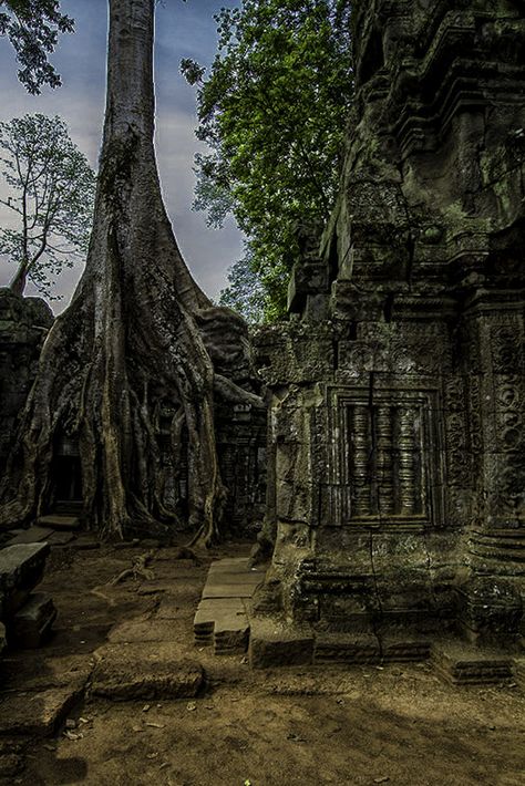 Tomb Raider Angkor Tom Siem Reap #Cambodiatravel . Photo: Robert Davies on 500px.com Angkor Wat Cambodia, Angkor Thom, Khmer Empire, Phnom Penh Cambodia, Cambodia Travel, Siem Reap Cambodia, Religious Architecture, Siem Reap, Angkor Wat