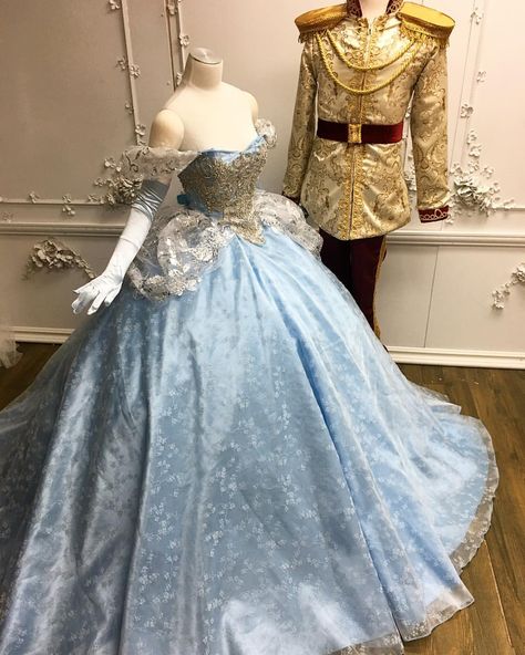 Wedding Dresses Vintage Princess, Moda Medieval, Princess Dress Fairytale, Istoria Modei, Diy Kostüm, 파티 드레스, Disney Princess Dresses, Fantasy Gowns, Fairytale Dress