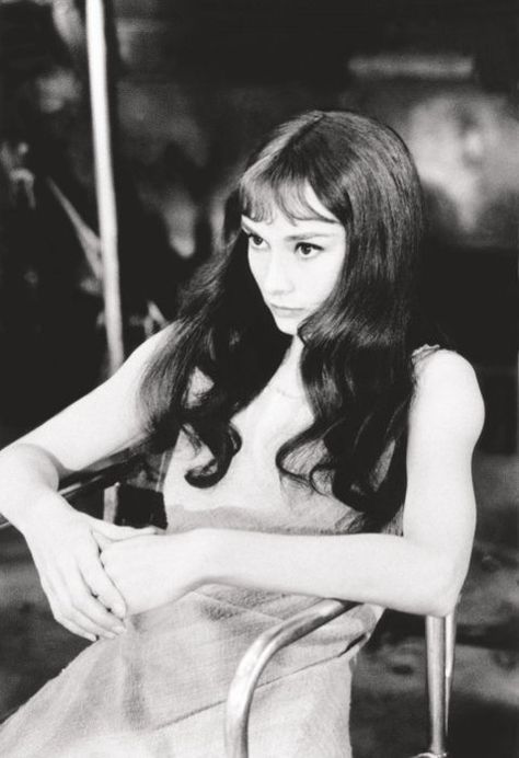 Her long hair and bangs look White Photo, Audrey Hepburn, Bangs, A Woman, Black And White, Twitter, Green, Hair, White