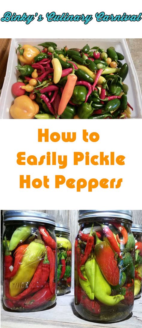 It is easier than you think to pickle peppers so you can enjoy them all year long! Pickle Hot Peppers, How To Pickle Peppers, Canning Hot Peppers, Pickled Pepper Recipe, Canning Peppers, Pickled Hot Peppers, Pickled Peppers, Pickled Veggies, Hot Peppers