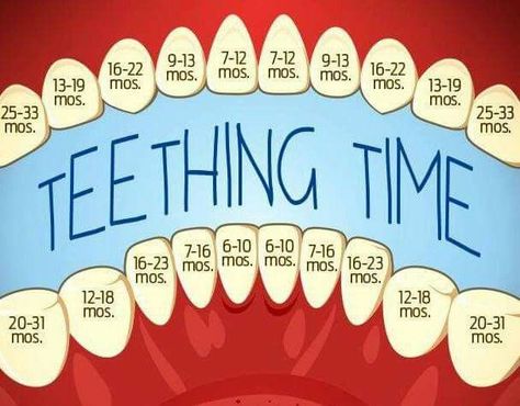 Teething Chart, Baby Trivia, Pinterest Baby, Maluchy Montessori, Kesehatan Gigi, Foto Newborn, Baby Information, Newborn Baby Tips, Baby Life Hacks