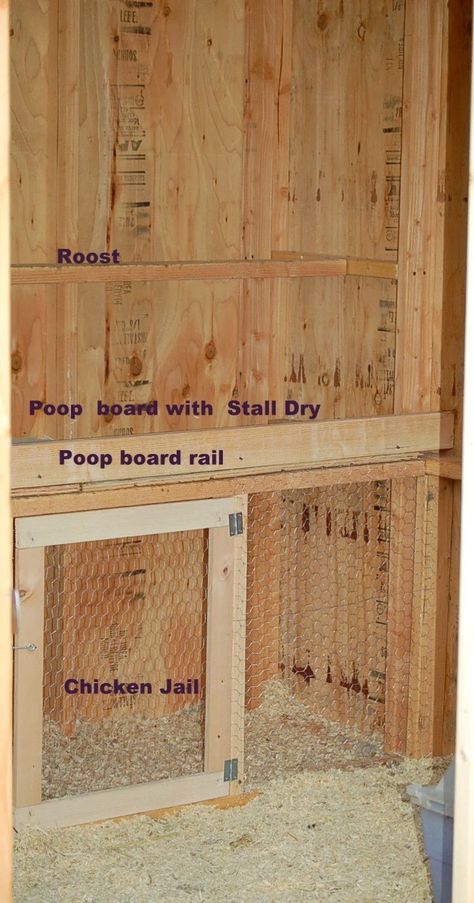 Perches extend full length of coop? | Page 2 | BackYard Chickens - Learn How to Raise Chickens Chicken Roost, Dieting Tips, Chicken Coop Run, Backyard Chicken Farming, Raising Backyard Chickens, Chicken Coop Designs, Coop Plans, Keeping Chickens, Building A Chicken Coop