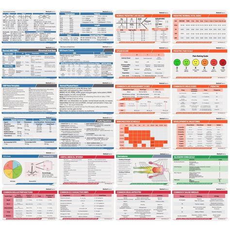 Amazon.com : Scrubnotes - Medical Reference ID Badge Cards - 13 Card Set - Reference sheets for Doctors and Nurses : Office Products Nurse Badge Cards, Medical Reference Cards, Nursing Reference Cards Printable, Nursing Reference Cards, Anatomy Stickers, Medical Reference, Nursing School Scholarships, Nurse Practitioner School, Nursing School Prerequisites