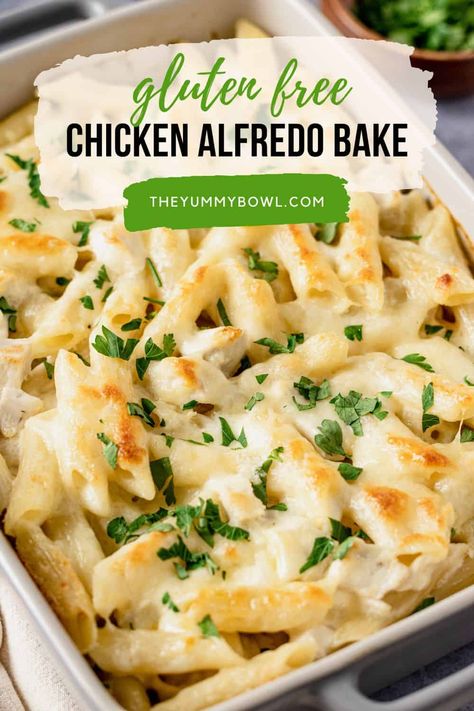 Gluten-Free Chicken Alfredo Pasta Bake is one of our go-to pasta dinners. This gluten-free recipe combines simple ingredients like penne pasta, chicken, and creamy alfredo sauce. It is often made with cajun chicken or broccoli but we are going to skip this for easy prep and make it a quick weeknight dinner meal instead. Gluten Free Chicken Alfredo, Gluten Free Pasta Bake, Gluten Free Chicken Casserole, Baked Chicken Alfredo, Chicken Alfredo Pasta Bake, Gluten Free Pasta Dishes, Alfredo Pasta Bake, Gluten Free Casserole, Baked Chicken Alfredo Pasta