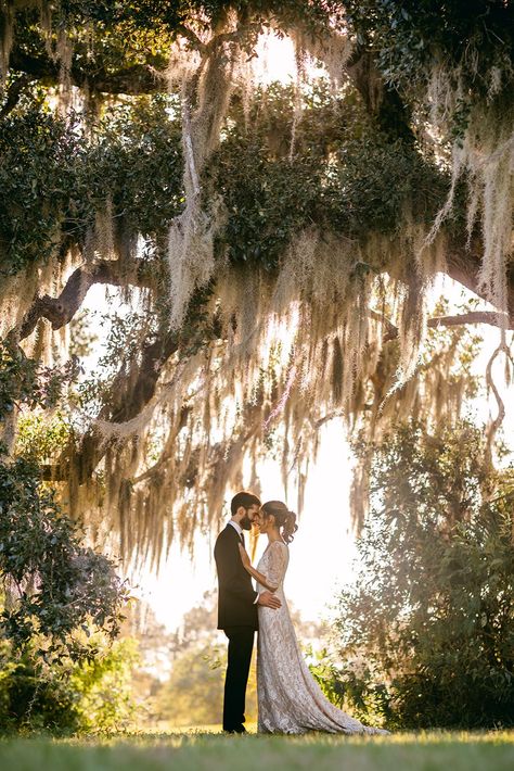 L&B’s dreamy wedding photography for their New Orleans elopement photos. Their romantic and timeless wedding photoshoot outdoors captured them perfectly. We offer editorial New Orleans wedding photography in NOLA and beyond. Aesthetic wedding photos, romantic wedding photos, bride and groom photos Creative Wedding Photoshoot, Romantic Timeless Wedding, Engagement Videography, Aesthetic Wedding Photos, Bayou Wedding, Wedding Photography Outdoor, Outdoor Bride, New Orleans Elopement, Timeless Wedding Photos