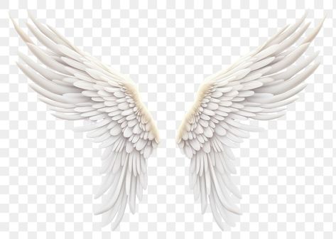 Angel Wings Transparent Background, Fairy Wings White, Png Angel, Angel Wings Png, Wings Png, White Angel Wings, Bird Wings, White Angel, 3d Drawings