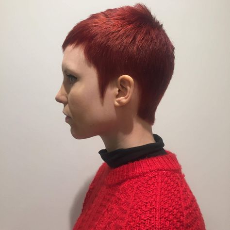 Cherry Cola Pixie Hair, Red Buzzcut Women, Burgundy Brown Hair Color, Red Pixie Haircut, Burgundy Brown Hair, Cropped Hair, Buzz Cut Women, Red Hair Looks, Wild Hair Color