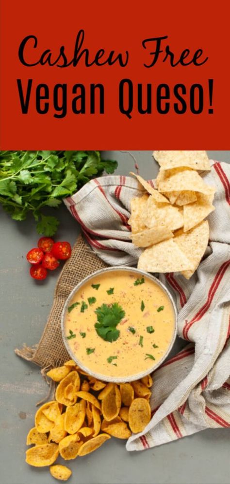 Vegan Queso (Cashew Free!) Allergy Awesomeness Velveeta Rotel Dip, Cashew Allergy, Velveeta Rotel, Rotel Cheese Dip, Vegan Queso Dip, Dairy Free Queso, Gluten Free Chips, Cashew Cheese Sauce, Rotel Dip