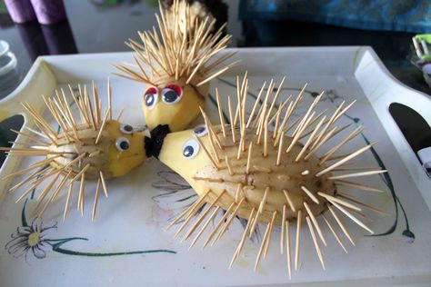 Craft, sensory and academic experience for 2 to 7 years old Awana Crafts, Potato People, Vegetable Crafts, Vegetable Animals, Maluchy Montessori, Hedgehog Craft, Diy Kids Games, Hedgehog Pet, Autumn Crafts