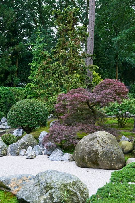 Japanese Rock Garden, Japanese Style Garden, Japanese Garden Landscape, Zen Garden Design, Japanese Zen Garden, Japan Garden, Landscaping Inspiration, Japanese Garden Design, Traditional Garden