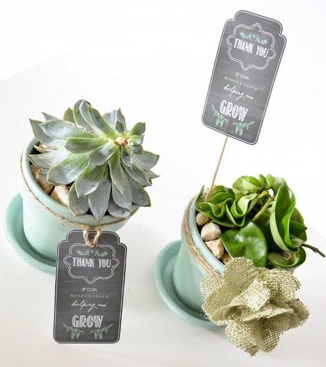 We love the sophisticated design of this printable teacher card, perfect for a pot of fresh herbs. | Anders Ruff Subbing Ideas, Chalkboard Gift Tags, Month Ideas, Teacher Gift Printables, Teacher Gift Tags, Free Printable Tags, Teachers Diy, Teachers Gifts, Diy Father's Day Gifts